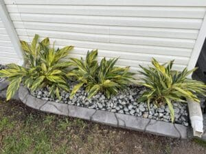 Landscape Design - Mulch Beds, Plant Beds, Rock Beds, in Plant City, Florida.
