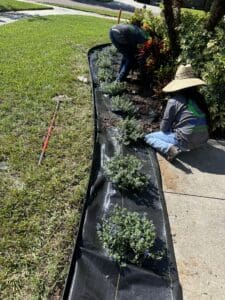 Landscape Design - Mulch Beds, Plant Beds, Rock Beds, in Plant City, Florida.